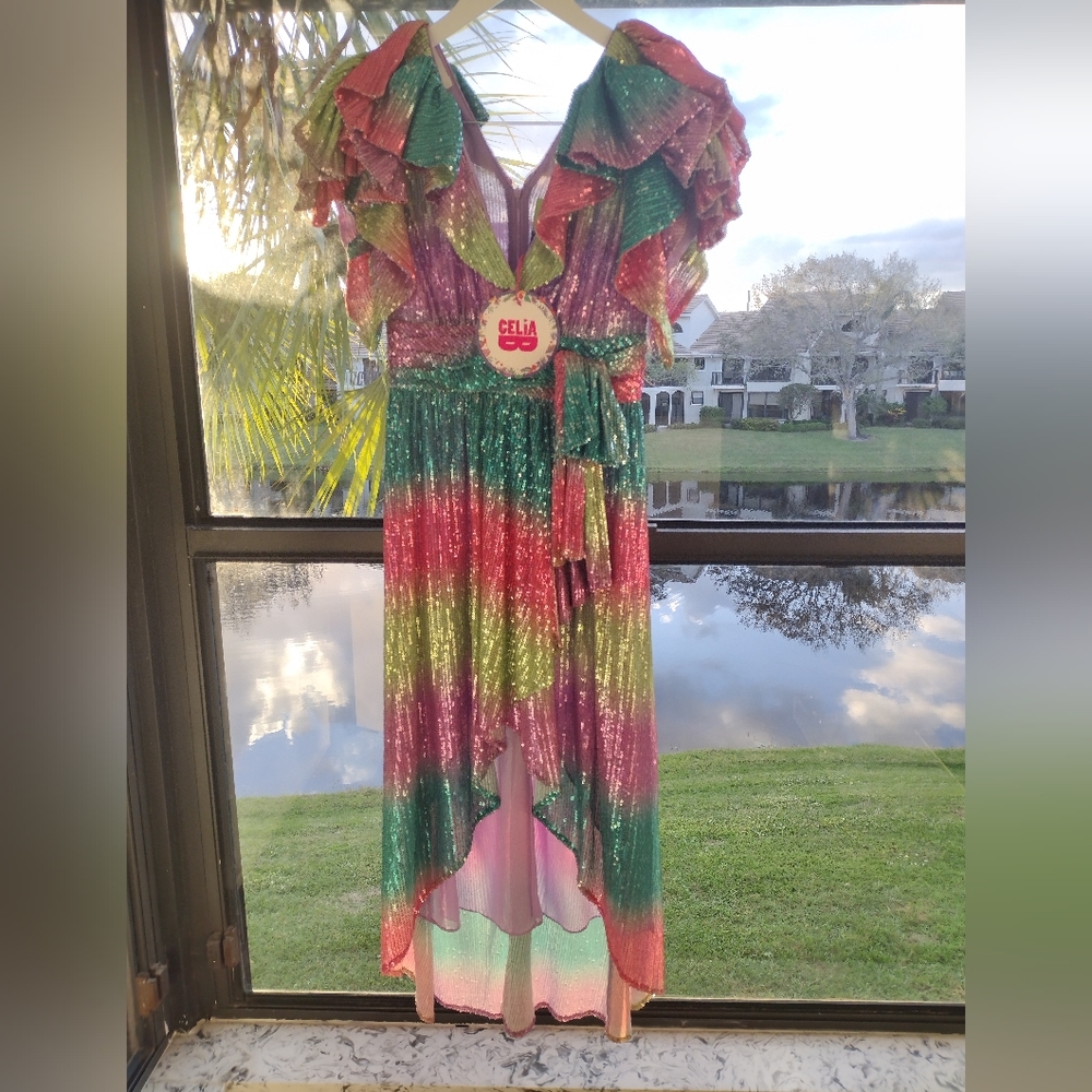 CeliaB Multicolor Ruffled Dress - Picture 6 of 10